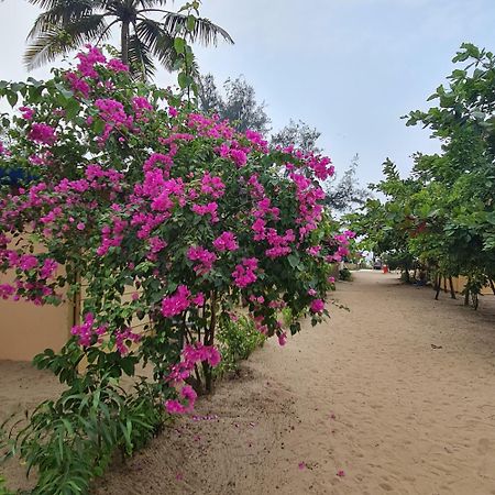Love Temple Beach Resort Arambol Zewnętrze zdjęcie
